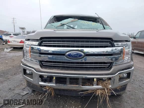 2018 Ford F-150 XL z VIN 1FTEW1EPXJFB66086, wystawiony jako IAAI lot #41897738 z przebiegiem 180 612 mil mil oraz . Historia ofert i sprzedaży dostępna na DreamBid. Obrazek 11.