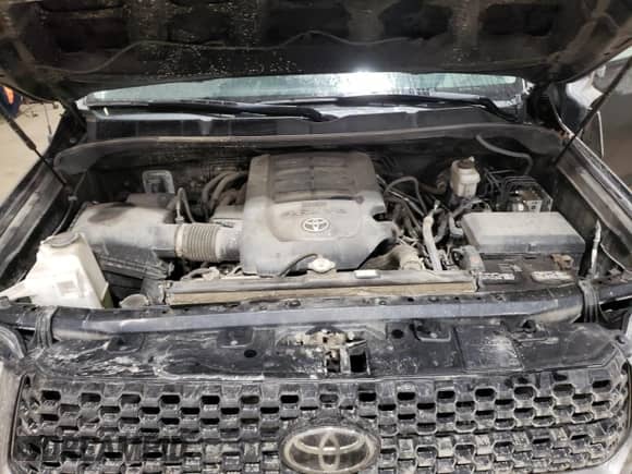 2019 Toyota Tundra SR с VIN 5TFUM5F19KX080802, выставлен на аукционе Copart как лот 87034514 с пробегом 54 911 миль миль и Списание • Salvage title. История ставок и продаж доступна на DreamBid. Изображение 12.