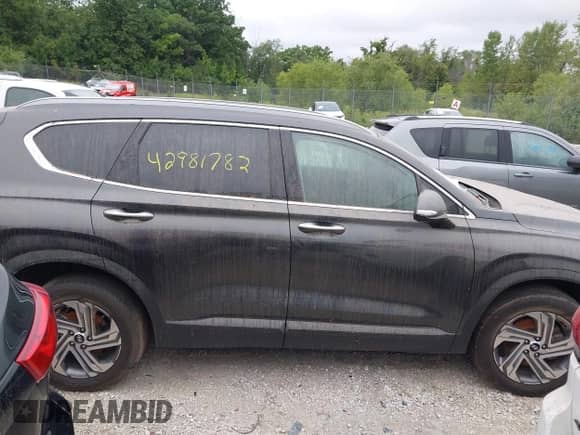 2023 Hyundai Santa Fe SEL с VIN 5NMS2DAJ3PH611443, выставлен на аукционе IAAI как лот 42981782 с пробегом Не указан миль и . История ставок и продаж доступна на DreamBid. Изображение 13.