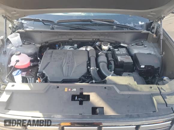 2024 Hyundai Santa Fe SEL с VIN 5NMP2DGL6RH027376, выставлен на аукционе Copart как лот 87503005 с пробегом 9 789 миль миль и Чистый • Clean title. История ставок и продаж доступна на DreamBid. Изображение 12.