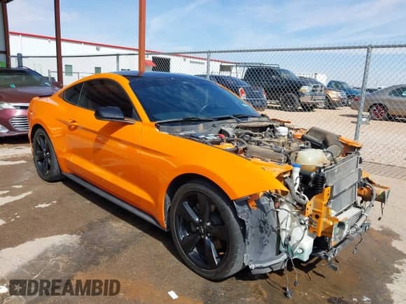 2021 Ford Mustang EcoBoost z VIN 1FA6P8TH3M5150334, wystawiony jako IAAI lot #43127034 z przebiegiem 81 475 mil mil oraz . Historia ofert i sprzedaży dostępna na DreamBid. Obrazek 1.