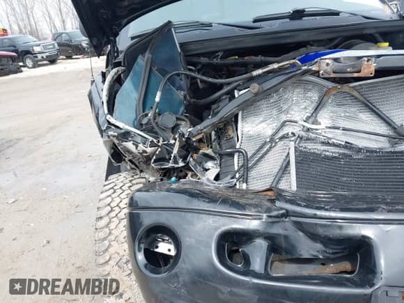 2001 Dodge 1500 z VIN 1B7HF16Z31S144662, wystawiony jako IAAI lot #41930146 z przebiegiem 104 146 mil mil oraz . Historia ofert i sprzedaży dostępna na DreamBid. Obrazek 6.