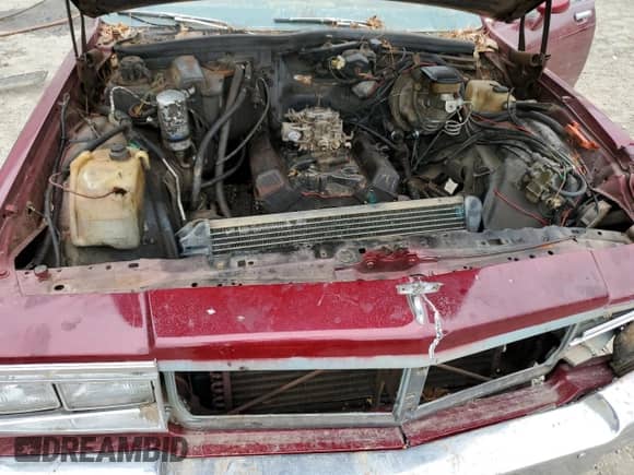 1981 Chevrolet Caprice с VIN 1G1AN69J1BJ264791, выставлен на аукционе Copart как лот 79004634 с пробегом 4 714 миль миль и Списание • Salvage title. История ставок и продаж доступна на DreamBid. Изображение 11.