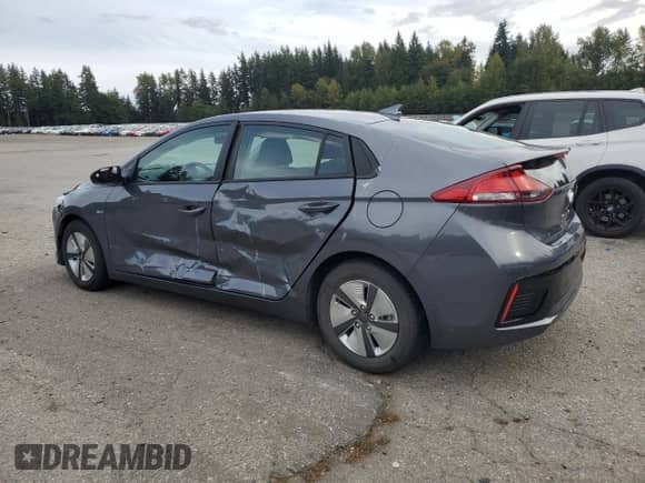 2019 Hyundai Ioniq Blue с VIN KMHC65LC8KU166031, выставлен на аукционе Copart как лот 81842565 с пробегом 160 299 миль миль и Чистый • Clean title. История ставок и продаж доступна на DreamBid. Изображение 2.