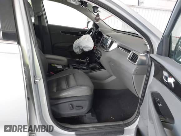 2016 Kia Sorento EX with VIN 5XYPH4A5XGG172260, listed as a IAAI auction lot 43033683 with 176,083 mi miles and . Bid and sale history available at DreamBid. Image 5.