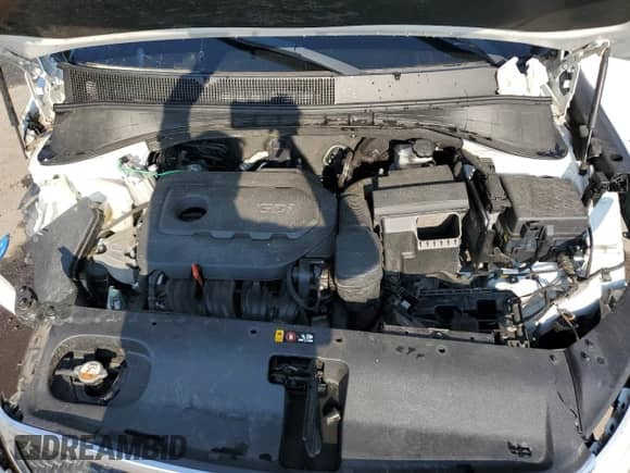 2018 Kia Sorento LX с VIN 5XYPG4A30JG386781, выставлен на аукционе Copart как лот 80914325 с пробегом 110 494 миль миль и Списание • Salvage title. История ставок и продаж доступна на DreamBid. Изображение 12.