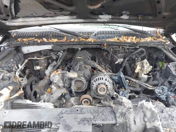 2005 Chevrolet Tahoe LS with VIN 1GNEC13TX5R167887, listed as a IAAI auction lot 41627758 with Not provided miles and . Bid and sale history available at DreamBid. Image 10.