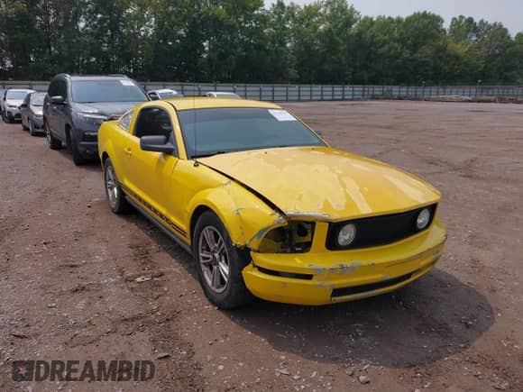 2006 Ford Mustang Standard с VIN 1ZVFT80N065160089, выставлен на аукционе IAAI как лот 43156110 с пробегом 212 075 миль миль и . История ставок и продаж доступна на DreamBid. Изображение 6.
