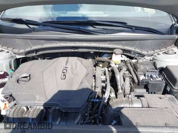 2025 Hyundai Santa Cruz SE with VIN 5NTJA4DE2SH137284, listed as a IAAI auction lot 42445588 with 3,346 mi miles and . Bid and sale history available at DreamBid. Image 10.