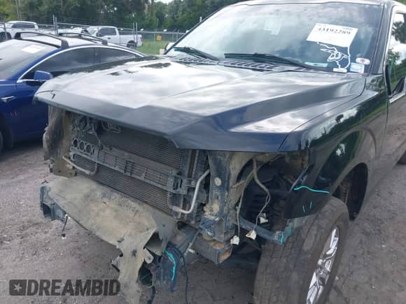 2017 Ford F-150 XL с VIN 1FTEW1EGXHFB84047, выставлен на аукционе IAAI как лот 43192289 с пробегом 196 988 миль миль и . История ставок и продаж доступна на DreamBid. Изображение 6.