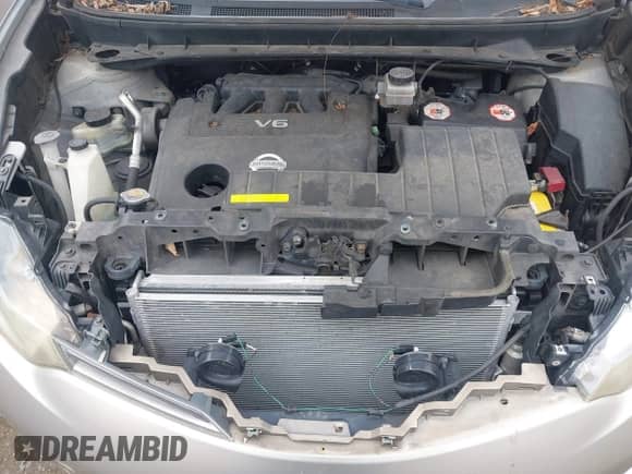 2010 Nissan Murano LE with VIN JN8AZ1MW0AW126778, listed as a IAAI auction lot 41911025 with 147,566 mi miles and . Bid and sale history available at DreamBid. Image 10.