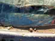 2005 Chevrolet Silverado 1500 z VIN 1GCEC14T85Z121465, wystawiony jako Copart lot #81165044 z przebiegiem 184 695 mil mil oraz Szkoda całkowita • Salvage title. Historia ofert i sprzedaży dostępna na DreamBid. Obrazek 12.