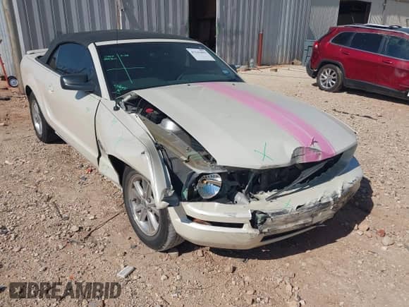 2009 Ford Mustang z VIN 1ZVHT84N195100247, wystawiony jako IAAI lot #43341093 z przebiegiem 94 326 mil mil oraz . Historia ofert i sprzedaży dostępna na DreamBid. Obrazek 6.