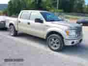 2010 Ford F-150 XL with VIN 1FTFW1EV7AFD30638, listed as a IAAI auction lot 43113747 with 216,145 mi miles and . Bid and sale history available at DreamBid. Image 1.