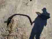 2023 Hyundai Tucson SEL with VIN 5NMJF3AE6PH241103, listed as a Copart auction lot 50356565 with 42,659 mi miles and Salvage title. Bid and sale history available at DreamBid. Image 13.