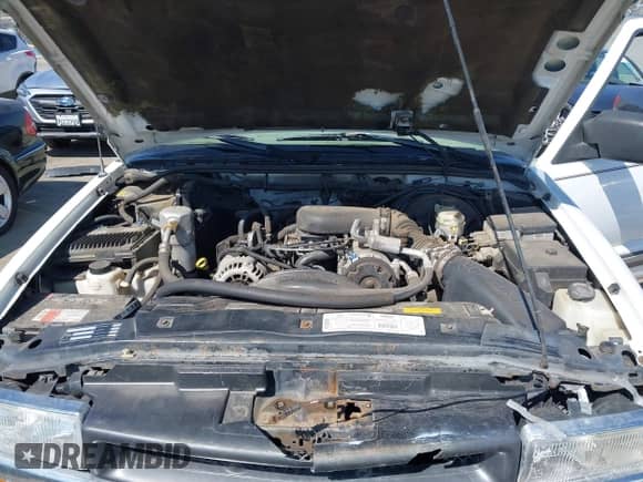 1999 Chevrolet Blazer LS z VIN 1GNDT13W0X2176809, wystawiony jako IAAI lot #43311943 z przebiegiem 124 071 mil mil oraz . Historia ofert i sprzedaży dostępna na DreamBid. Obrazek 10.