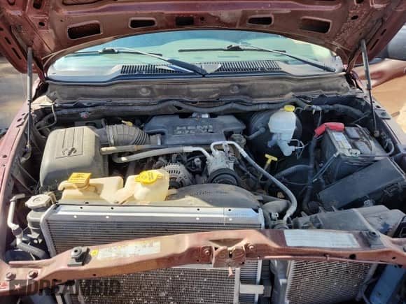 2008 Dodge 1500 SLT с VIN 1D7HA18228J111138, выставлен на аукционе Copart как лот 80089645 с пробегом 122 721 миль миль и Списание • Salvage title. История ставок и продаж доступна на DreamBid. Изображение 11.