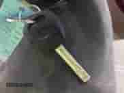 2007 Hyundai Azera GLS с VIN KMHFC46D07A201772, выставлен на аукционе IAAI как лот 41212596 с пробегом 314 234 миль миль и . История ставок и продаж доступна на DreamBid. Изображение 11.