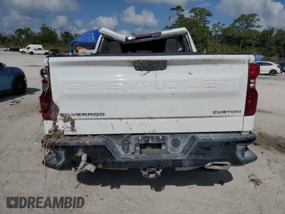 2024 Chevrolet Silverado 1500 Custom Trail Boss with VIN 3GCUDCED8RG454458, listed as a Copart auction lot 66469075 with Not provided miles and Non repairable. Bid and sale history available at DreamBid. Image 6.