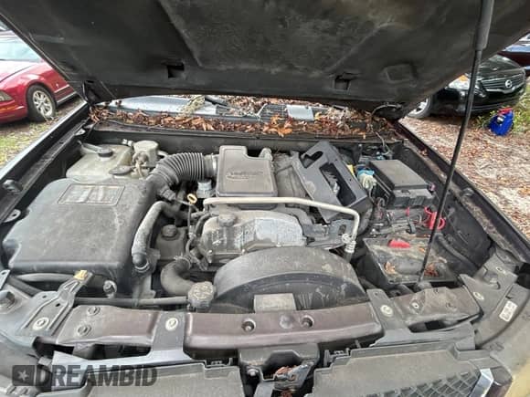 2008 Chevrolet TrailBlazer 2LT z VIN 1GNDS13S182212735, wystawiony jako Copart lot #71292355 z przebiegiem Nie podano mil oraz Czysty tytuł • Clean title. Historia ofert i sprzedaży dostępna na DreamBid. Obrazek 7.