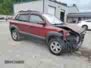 2009 Hyundai Tucson SE with VIN KM8JN12D79U941281, listed as a Copart auction lot 67221365 with 142,585 mi miles and Salvage title. Bid and sale history available at DreamBid. Image 4.