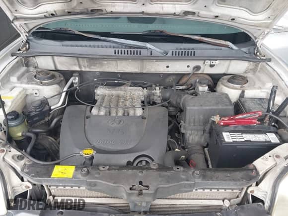 2001 Hyundai Santa Fe GLS с VIN KM8SC83D51U055658, выставлен на аукционе IAAI как лот 43168695 с пробегом 140 263 миль миль и . История ставок и продаж доступна на DreamBid. Изображение 10.