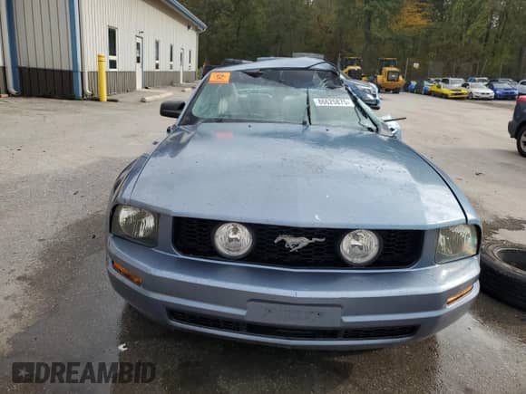 2005 Ford Mustang Deluxe with VIN 1ZVFT80N655103801, listed as a Copart auction lot 86625875 with Not provided miles and Salvage title. Bid and sale history available at DreamBid. Image 5.