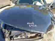 2006 Ford Mustang Standard with VIN 1ZVFT80N165210918, listed as a IAAI auction lot 43438713 with Not provided miles and . Bid and sale history available at DreamBid. Image 10.