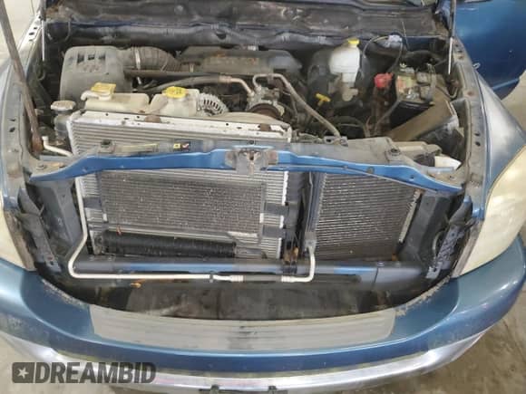 2006 Dodge 1500 SLT with VIN 3D7KR19D36G156831, listed as a Copart auction lot 67669295 with 125,764 mi miles and Clean title. Bid and sale history available at DreamBid. Image 11.