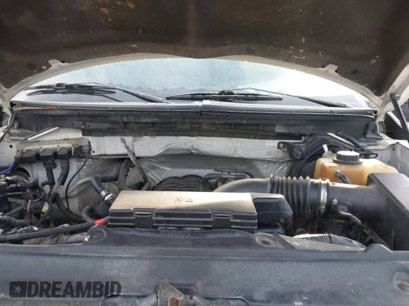 2011 Ford F-150 XL с VIN 1FTFW1EF5BFB24972, выставлен на аукционе IAAI как лот 42156307 с пробегом 238 107 миль миль и . История ставок и продаж доступна на DreamBid. Изображение 10.