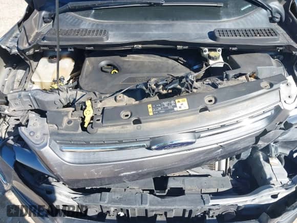 2014 Ford Escape SE with VIN 1FMCU0GX6EUD41631, listed as a IAAI auction lot 41209163 with 233,429 mi miles and . Bid and sale history available at DreamBid. Image 10.