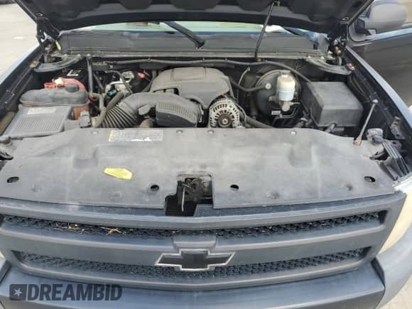 2009 Chevrolet Silverado 1500 Work Truck with VIN 1GCEC14C19Z239282, listed as a Copart auction lot 74714994 with Not provided miles and Salvage title. Bid and sale history available at DreamBid. Image 11.
