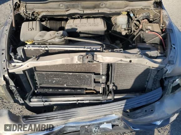 2002 Dodge 1500 z VIN 1D7HA16N52J144011, wystawiony jako Copart lot #89665645 z przebiegiem 210 550 mil mil oraz Szkoda całkowita • Salvage title. Historia ofert i sprzedaży dostępna na DreamBid. Obrazek 11.