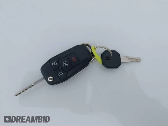 2019 Ford F-150 XLT z VIN 1FTEW1E43KFA09765, wystawiony jako IAAI lot #43442175 z przebiegiem 96 007 mil mil oraz . Historia ofert i sprzedaży dostępna na DreamBid. Obrazek 11.