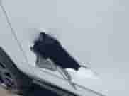 2024 Chevrolet Suburban Premier z VIN 1GNSKFKTXRR209081, wystawiony jako IAAI lot #42271966 z przebiegiem 25 651 mil mil oraz . Historia ofert i sprzedaży dostępna na DreamBid. Obrazek 20.