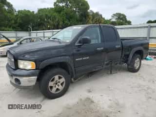 2002 Dodge 1500 z VIN 1B7HU18Z32J106214, wystawiony jako Copart lot #71780234 z przebiegiem 194 853 mil mil oraz Szkoda całkowita • Salvage title. Historia ofert i sprzedaży dostępna na DreamBid. Obrazek 1.