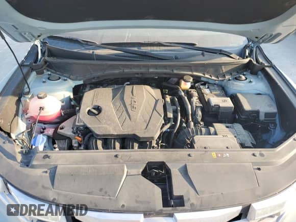 2024 Hyundai Santa Cruz SEL с VIN 5NTJCDAE2RH087799, выставлен на аукционе Copart как лот 68873354 с пробегом 24 735 миль миль и Списание • Salvage title. История ставок и продаж доступна на DreamBid. Изображение 11.