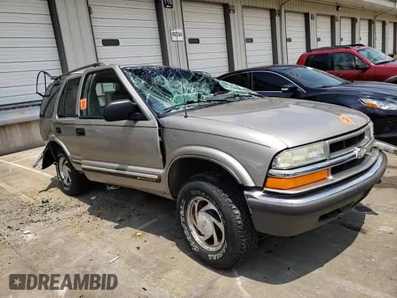 2001 Chevrolet Blazer LT z VIN 1GNDT13W91K209409, wystawiony jako Copart lot #64083034 z przebiegiem 218 833 mil mil oraz Szkoda całkowita • Salvage title. Historia ofert i sprzedaży dostępna na DreamBid. Obrazek 11.