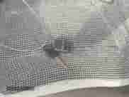 2002 Ford Explorer Limited с VIN 1FMZU75W72ZC95433, выставлен на аукционе IAAI как лот 43126507 с пробегом Не указан миль и . История ставок и продаж доступна на DreamBid. Изображение 11.