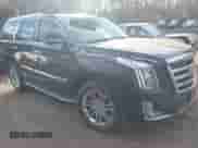 2016 Cadillac Escalade with VIN 1GYS4AKJ8GR182409, listed as a IAAI auction lot 41081422 with 102,954 mi miles and . Bid and sale history available at DreamBid. Image 1.