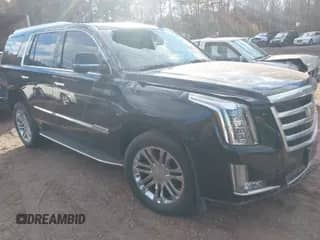 2016 Cadillac Escalade with VIN 1GYS4AKJ8GR182409, listed as a IAAI auction lot 41081422 with 102,954 mi miles and . Bid and sale history available at DreamBid. Image 1.