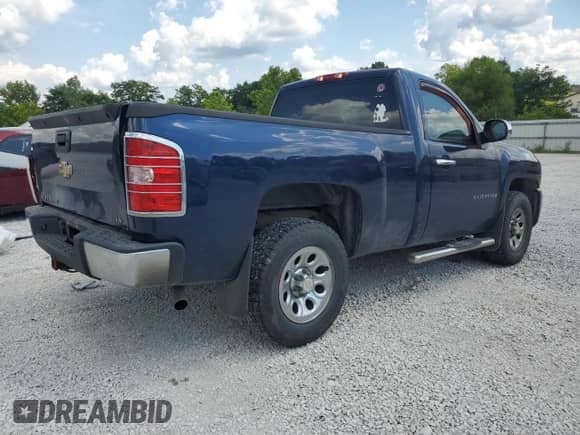 2009 Chevrolet Silverado 1500 Work Truck with VIN 1GCEC14C19Z176961, listed as a Copart auction lot 67823055 with 239,475 mi miles and Salvage title. Bid and sale history available at DreamBid. Image 3.