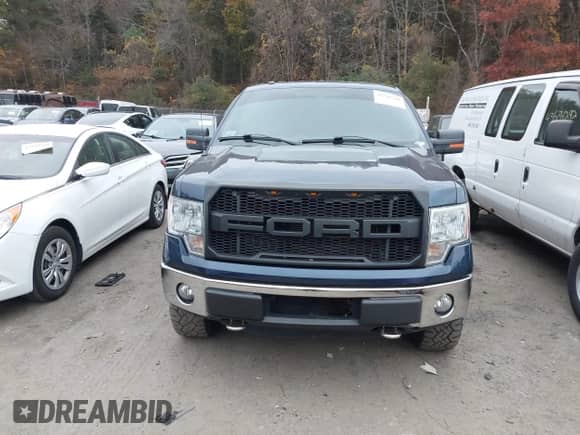 2013 Ford F-150 XL with VIN 1FTFX1EF4DFB93300, listed as a IAAI auction lot 43526340 with 218,182 mi miles and . Bid and sale history available at DreamBid. Image 6.