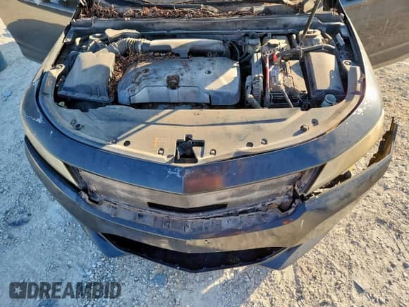 2014 Chevrolet Impala LS с VIN 1G11Y5SL2EU172055, выставлен на аукционе Copart как лот 81856095 с пробегом 271 771 миль миль и Чистый • Clean title. История ставок и продаж доступна на DreamBid. Изображение 11.