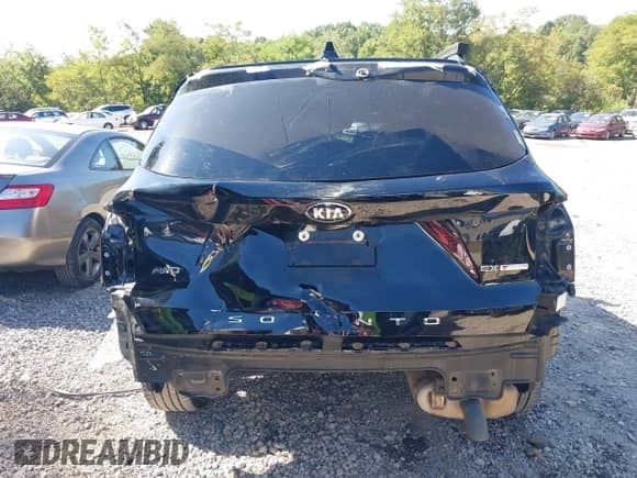 2021 Kia Sorento EX with VIN 5XYRHDLF6MG063417, listed as a IAAI auction lot 42966134 with 109,686 mi miles and . Bid and sale history available at DreamBid. Image 17.