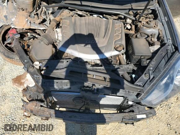 2015 Hyundai Genesis Coupe R-Spec with VIN KMHHU6KJ5FU122785, listed as a Copart auction lot 77006244 with Not provided miles and Salvage title. Bid and sale history available at DreamBid. Image 12.