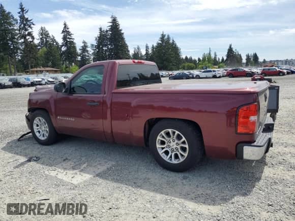 2009 Chevrolet Silverado 1500 Work Truck with VIN 1GCEC14X29Z218430, listed as a Copart auction lot 56406835 with 170,868 mi miles and Salvage title. Bid and sale history available at DreamBid. Image 2.