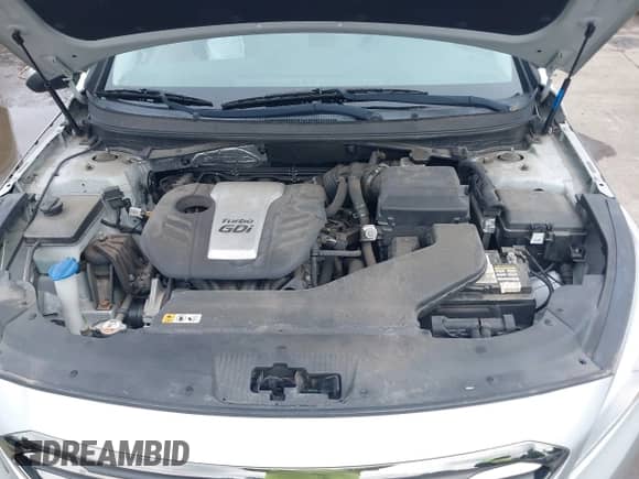 2015 Hyundai Sonata Eco with VIN 5NPE24AA4FH190251, listed as a IAAI auction lot 42994753 with 66,099 mi miles and . Bid and sale history available at DreamBid. Image 10.