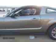 2005 Ford Mustang Deluxe with VIN 1ZVFT80N855119319, listed as a IAAI auction lot 43340661 with 106,385 mi miles and . Bid and sale history available at DreamBid. Image 14.