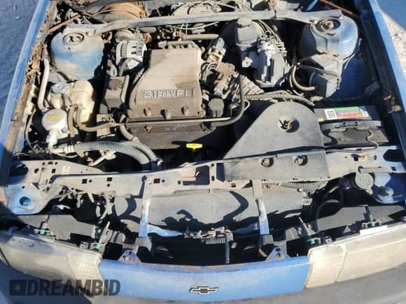 1994 Chevrolet Cavalier с VIN 1G1JC54T1R7192166, выставлен на аукционе Copart как лот 81866354 с пробегом 107 310 миль миль и Чистый • Clean title. История ставок и продаж доступна на DreamBid. Изображение 11.